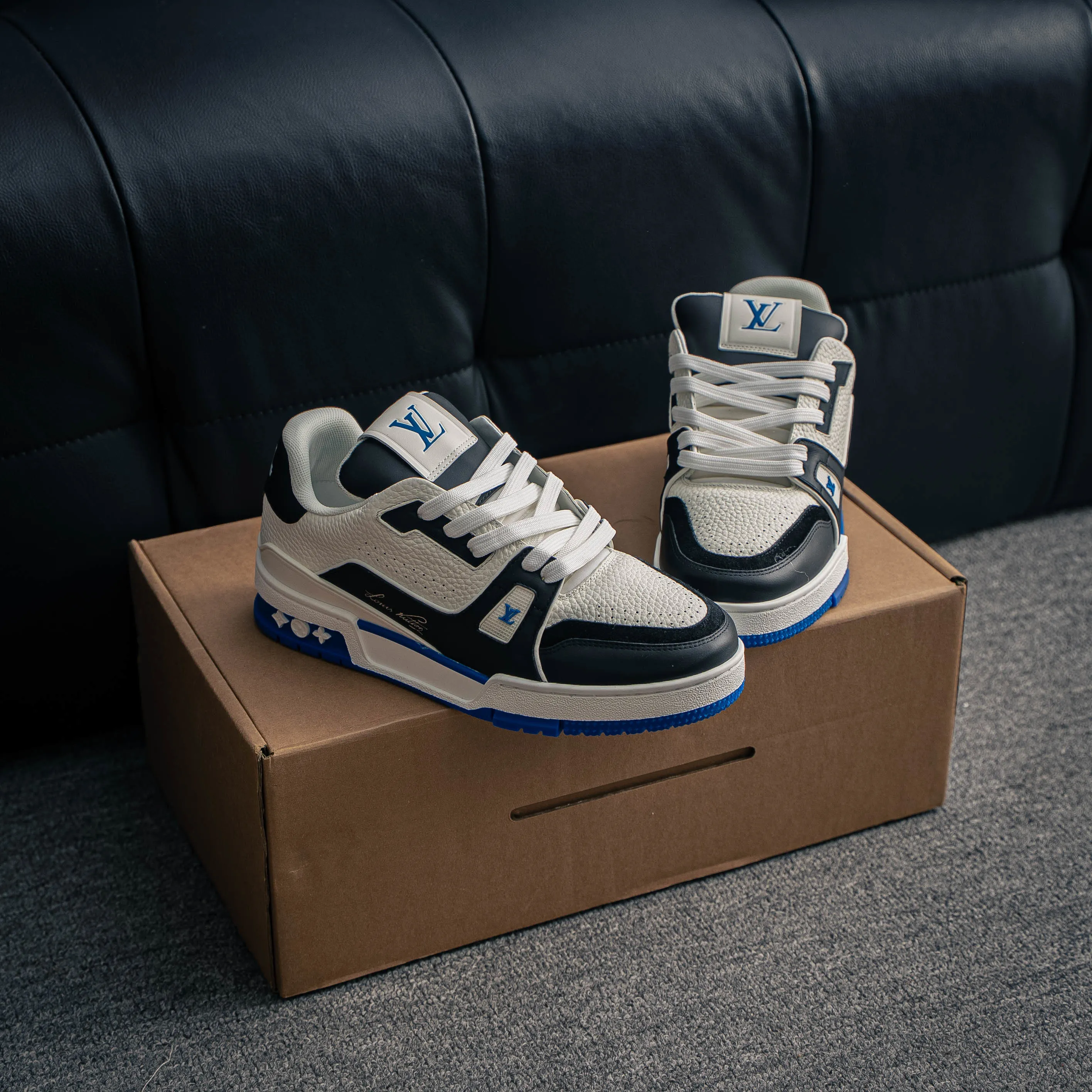 Louis Vuitton Trainer lv Sneakers Shoes Shoes